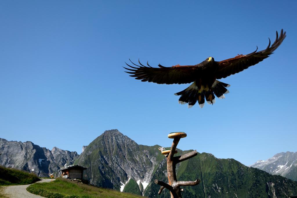 Gaestehaus Ahornblick Mayrhofen Esterno foto